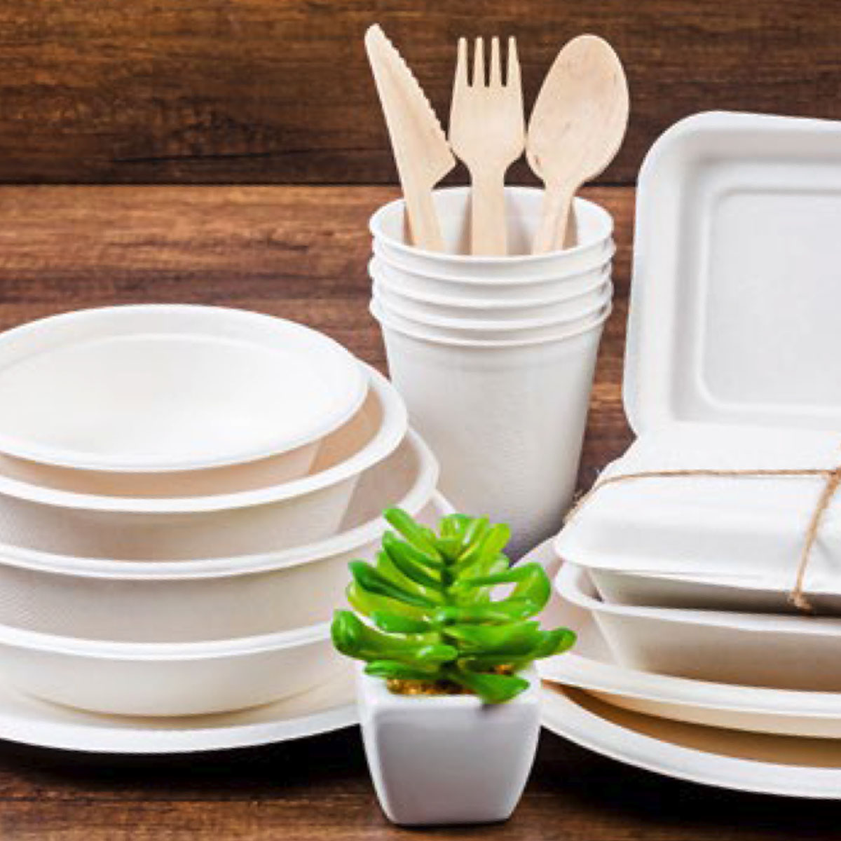 Herlad Bagasse Products