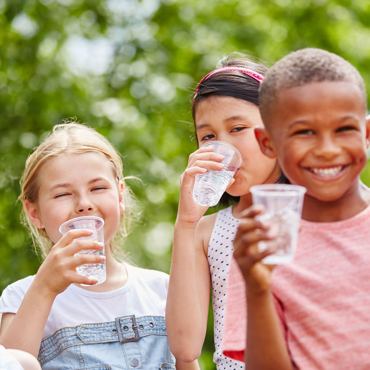 Herald Non Vending Cups